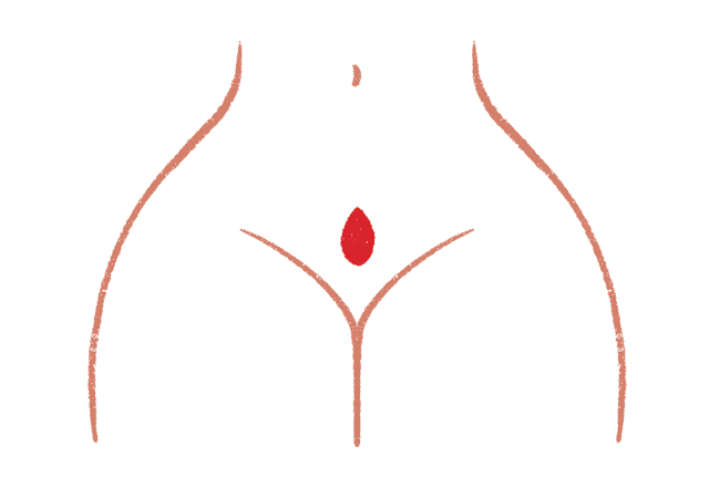 outline of the lower half of a woman a small blood drop near her uterus 
